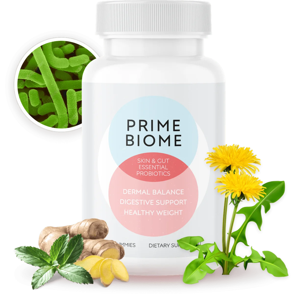 PrimeBiome — manufacturer's 3-bottle bundle