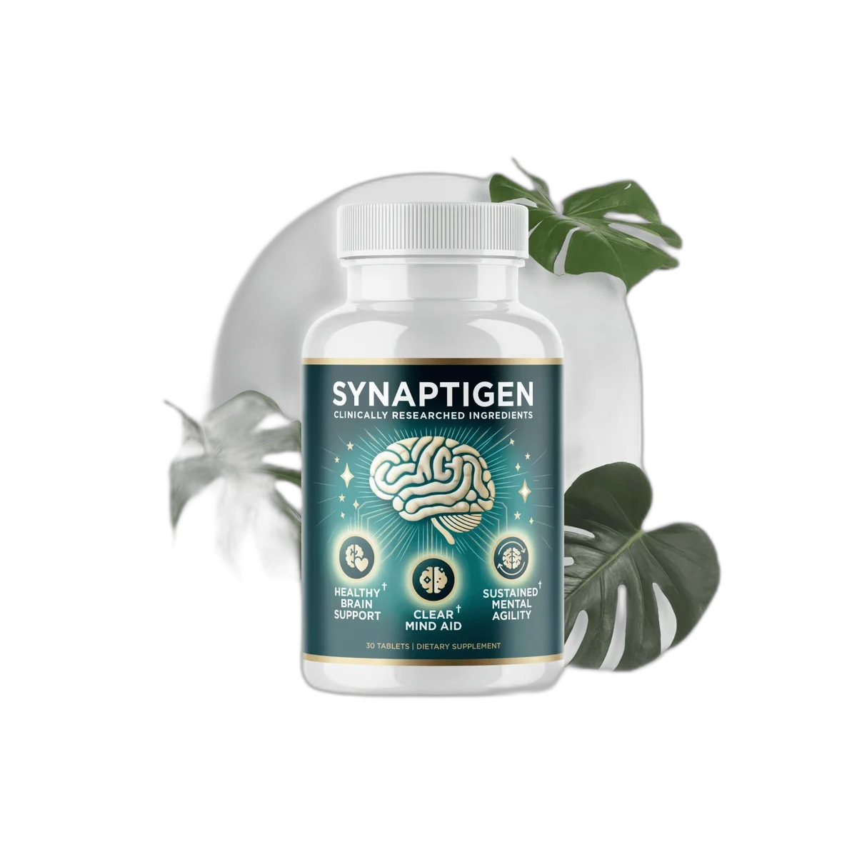 Synaptigen product image